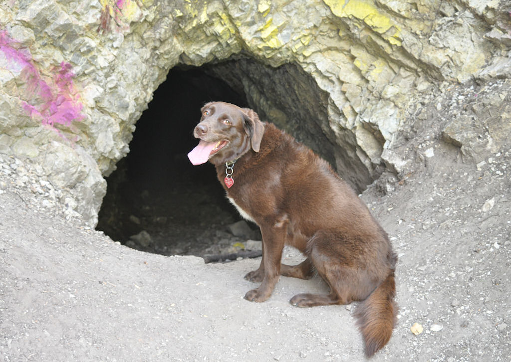 Coco braves the hole